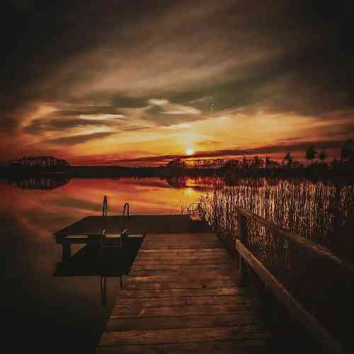 علی احمدی سال نو